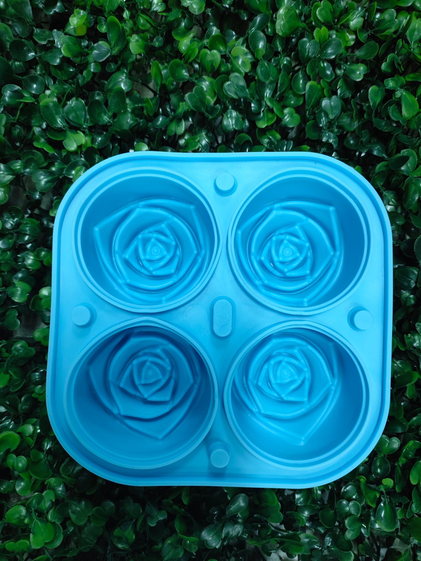 Moldes Para Repostería