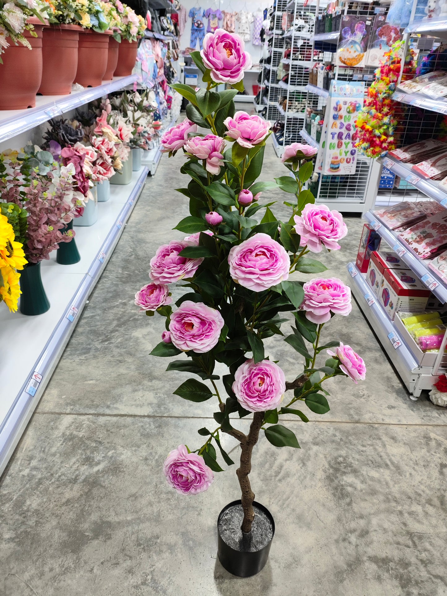 Planta 1.25M