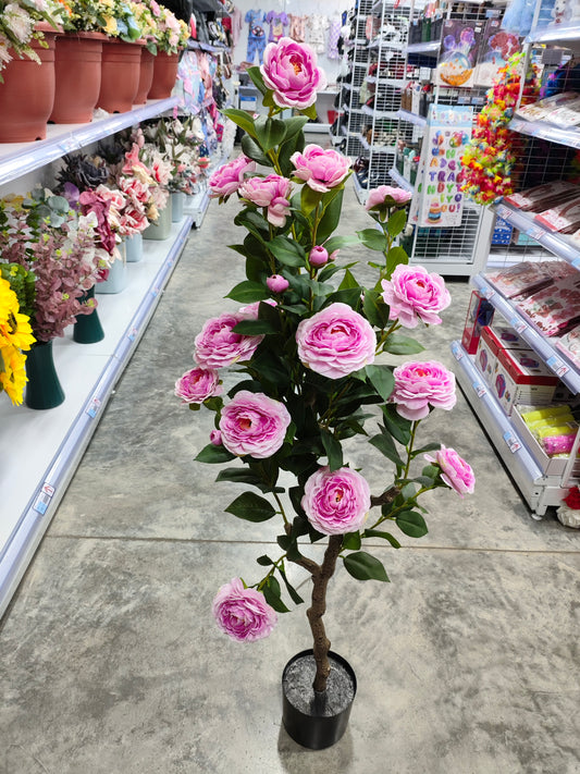 Planta 1.25M