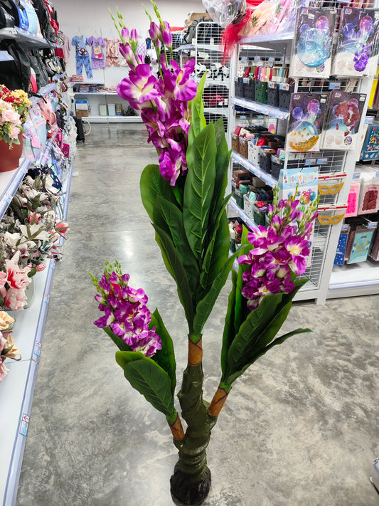 Planta 899819