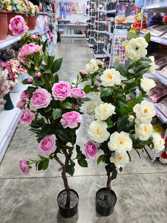 Planta 1.25M