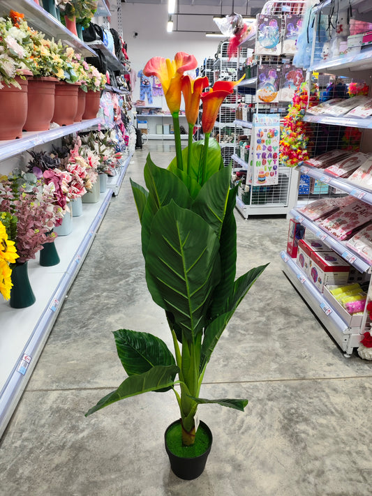 Planta 1.2M