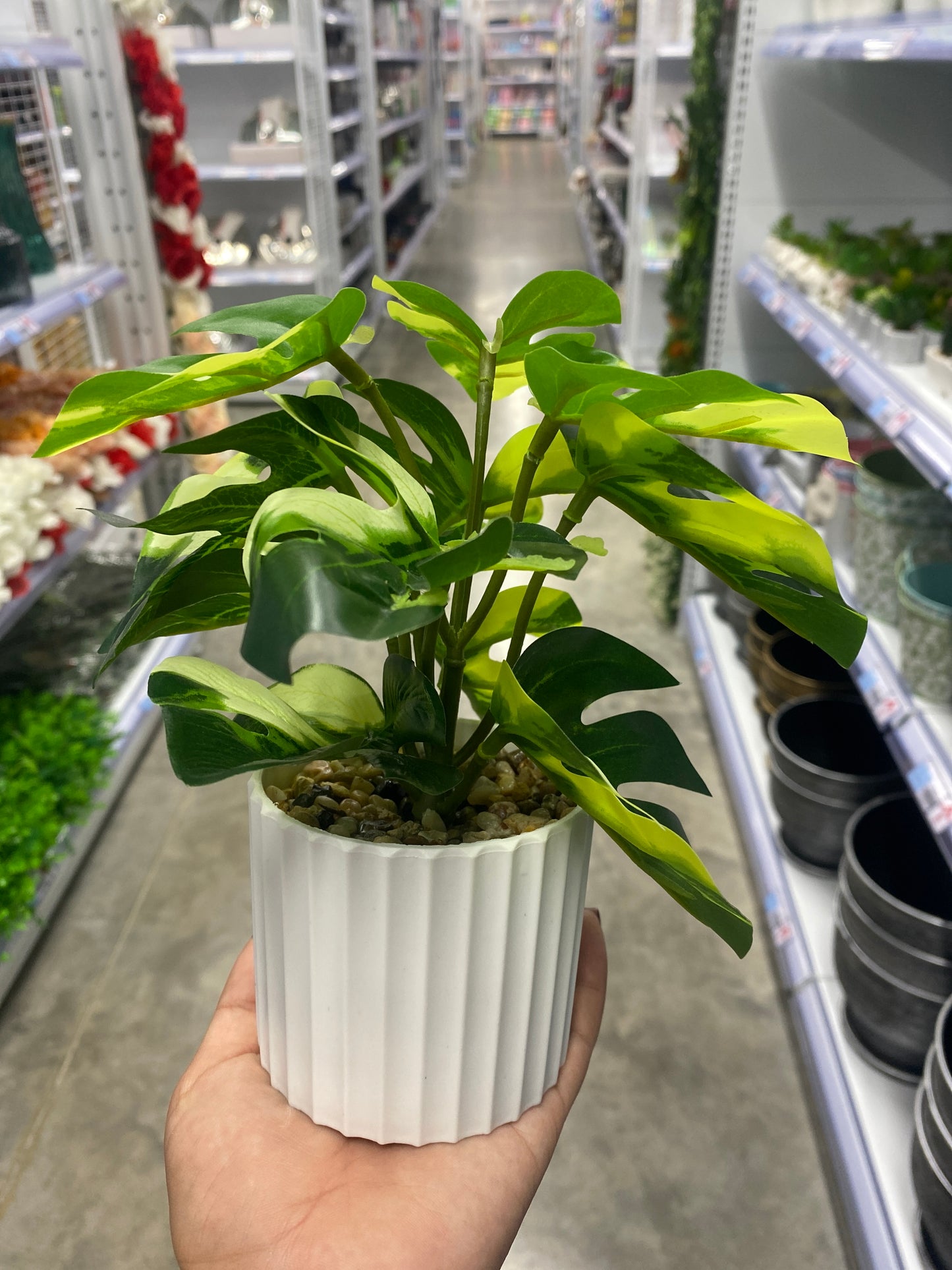 Maceta con hoja de tortuga/Artificial