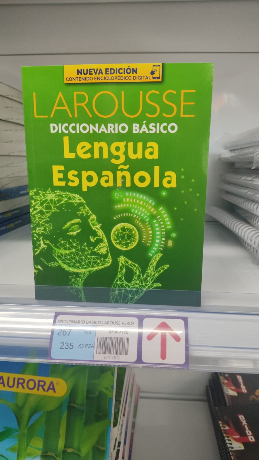 Diccionario lengua española Larousse verde