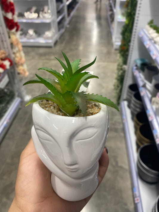 Planta