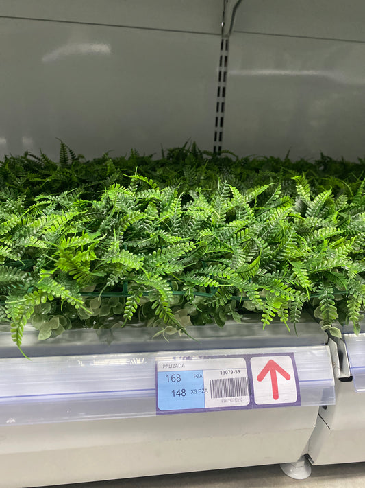 Palizadas