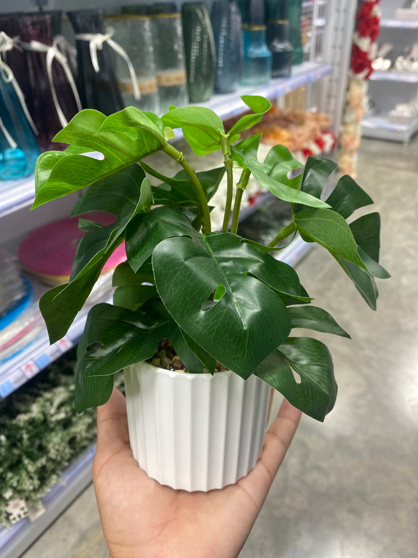 Maceta con hoja de tortuga/Artificial