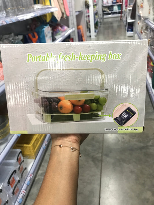 CAJA PORTÁTIL MANTENER FRESCO