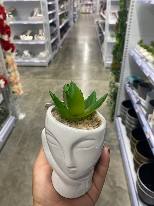 Planta
