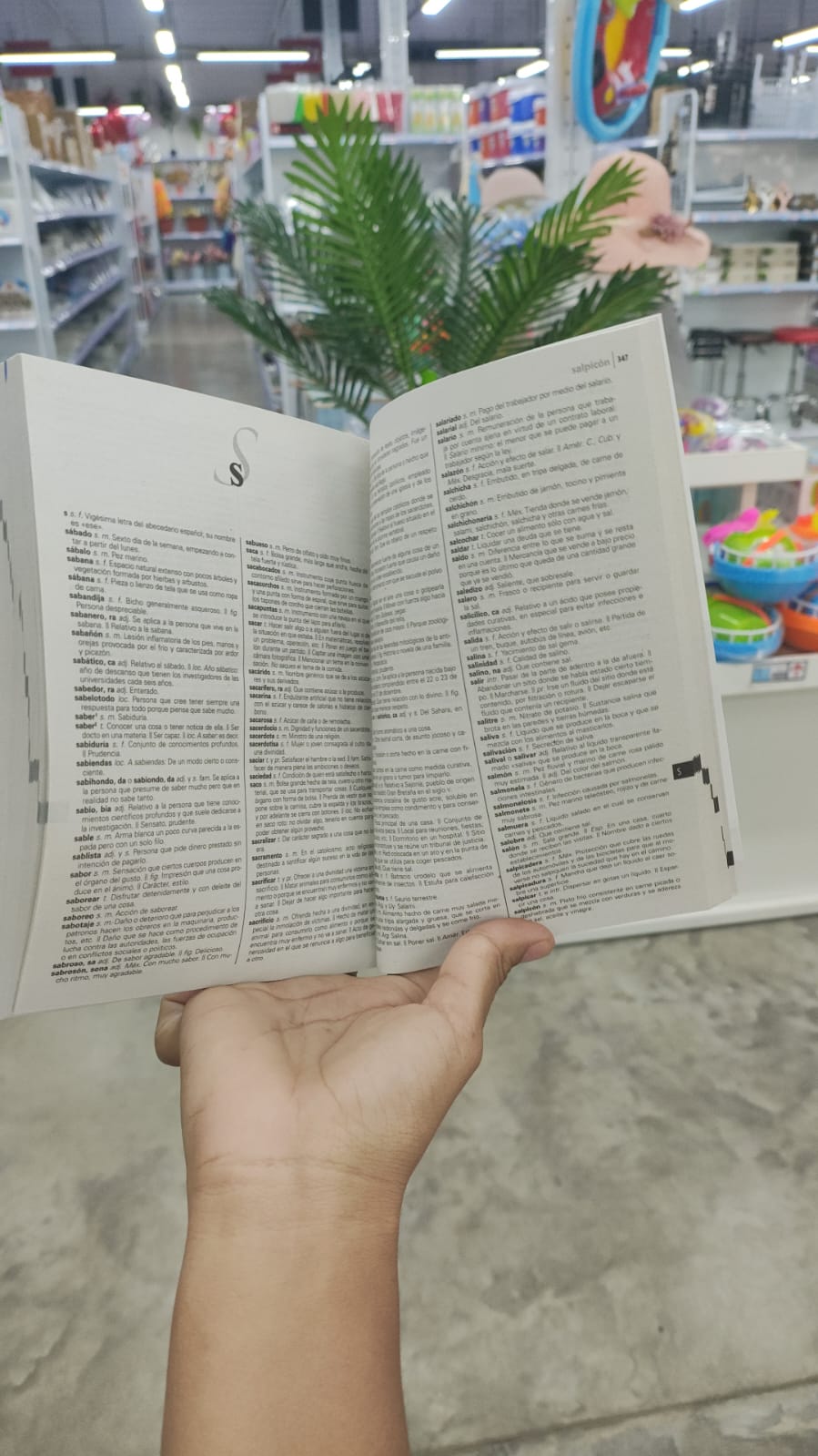 Diccionario básico Larousse azul