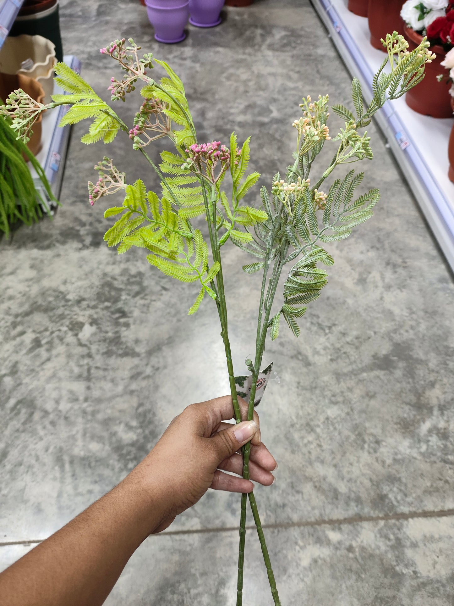 Ramas