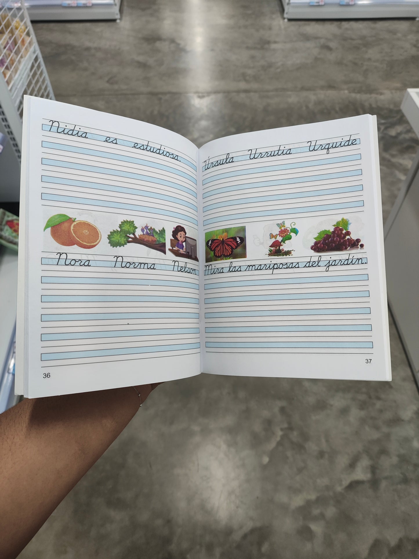 Libro Monza 1/2/3/4