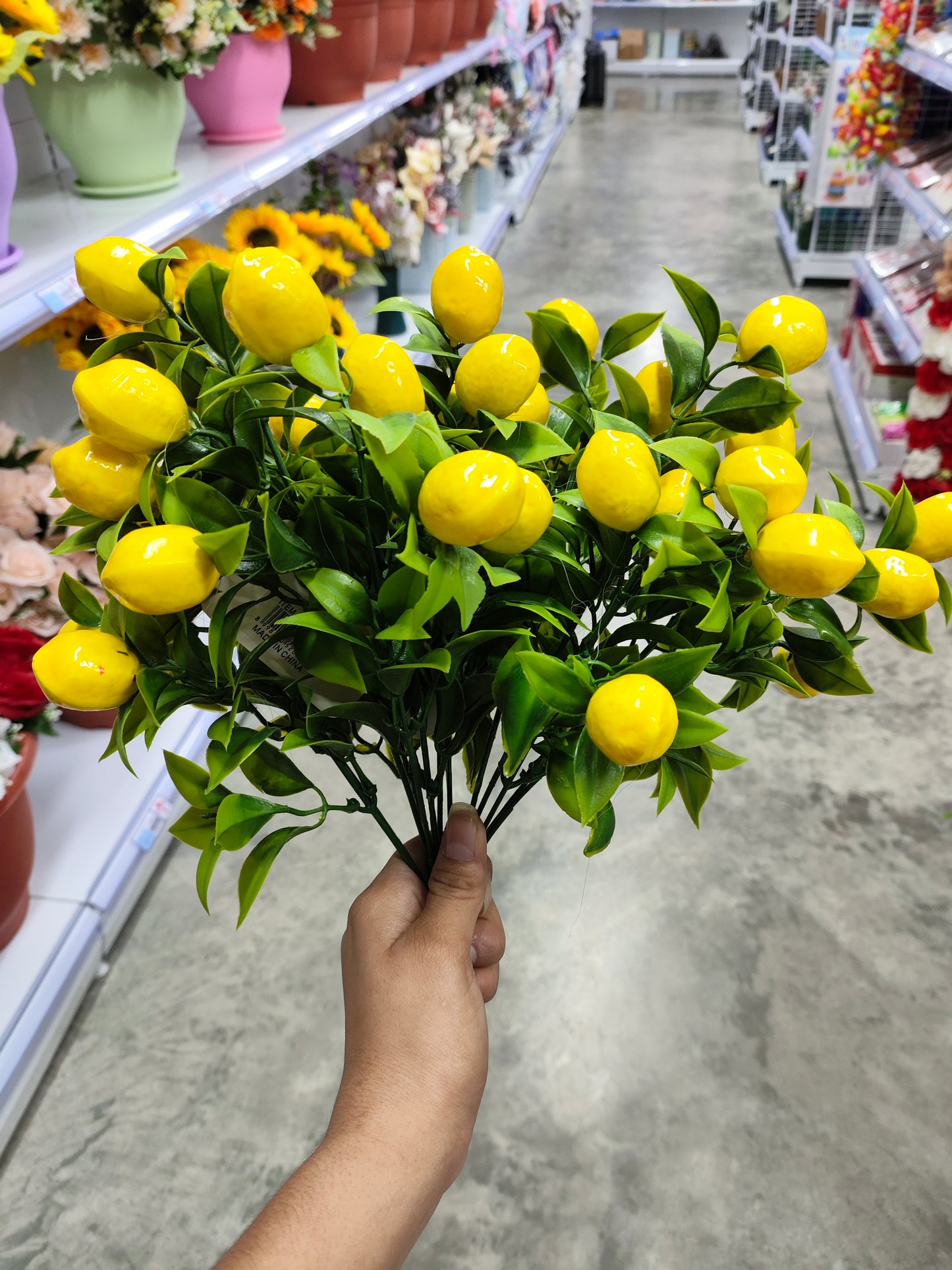 Flores