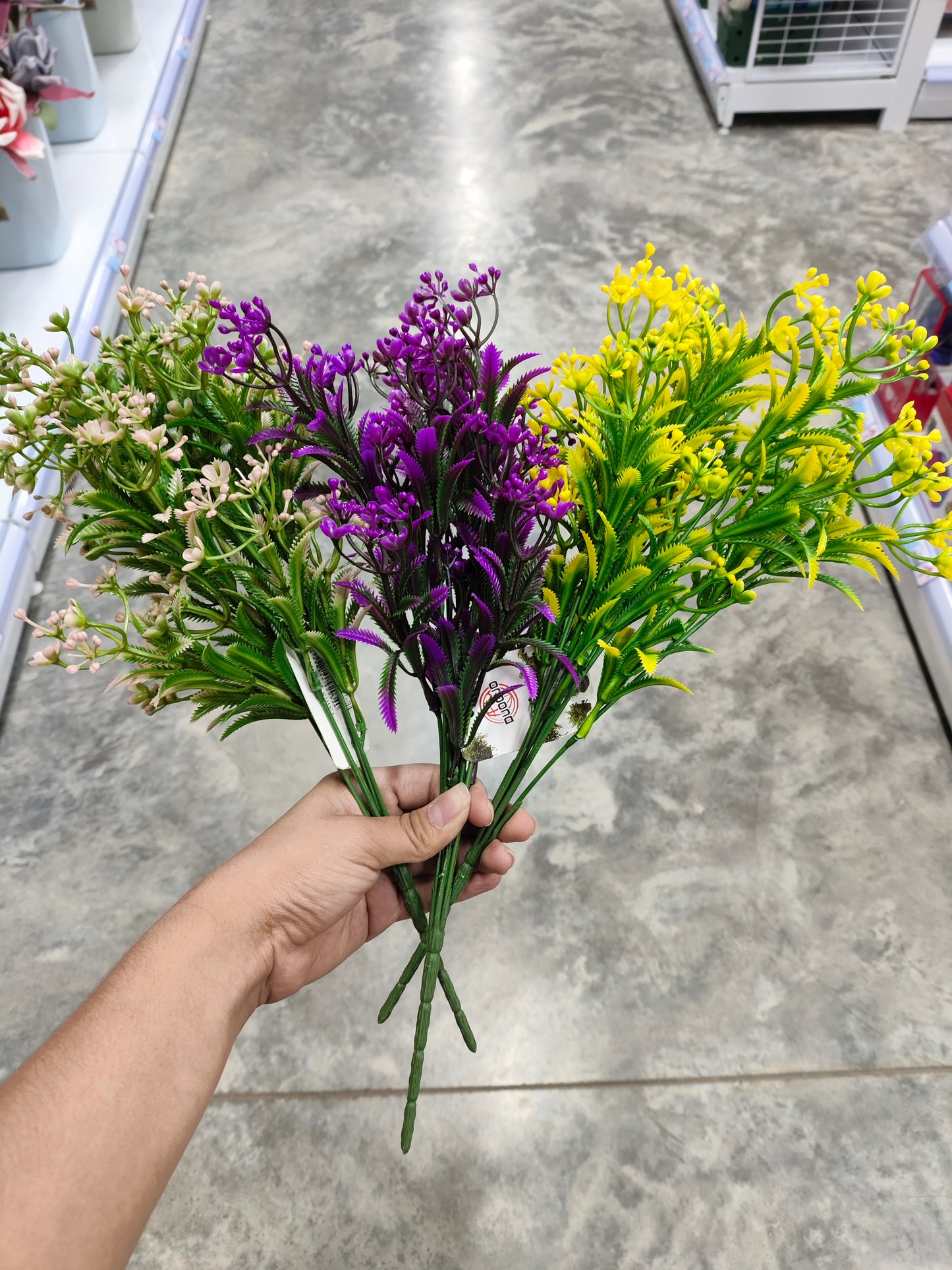 Flores