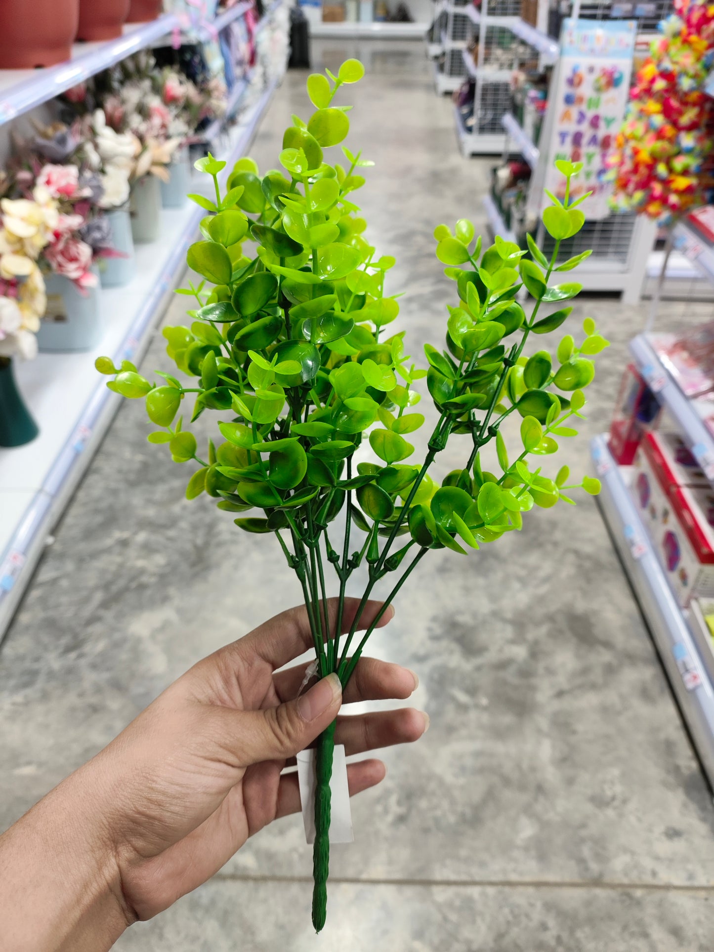 Ramo de follaje verde