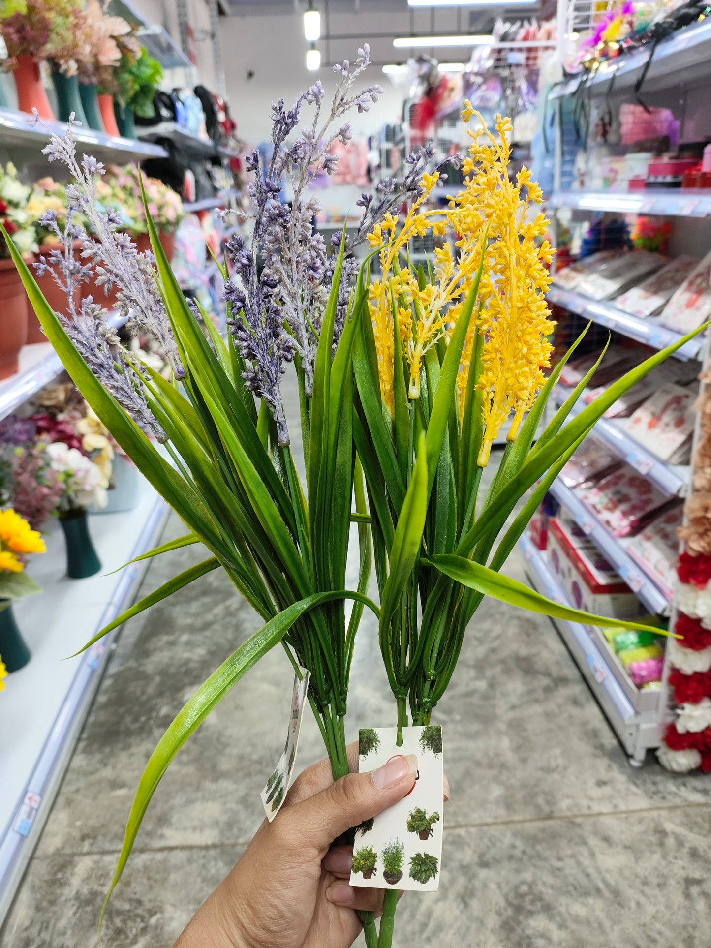 Flores