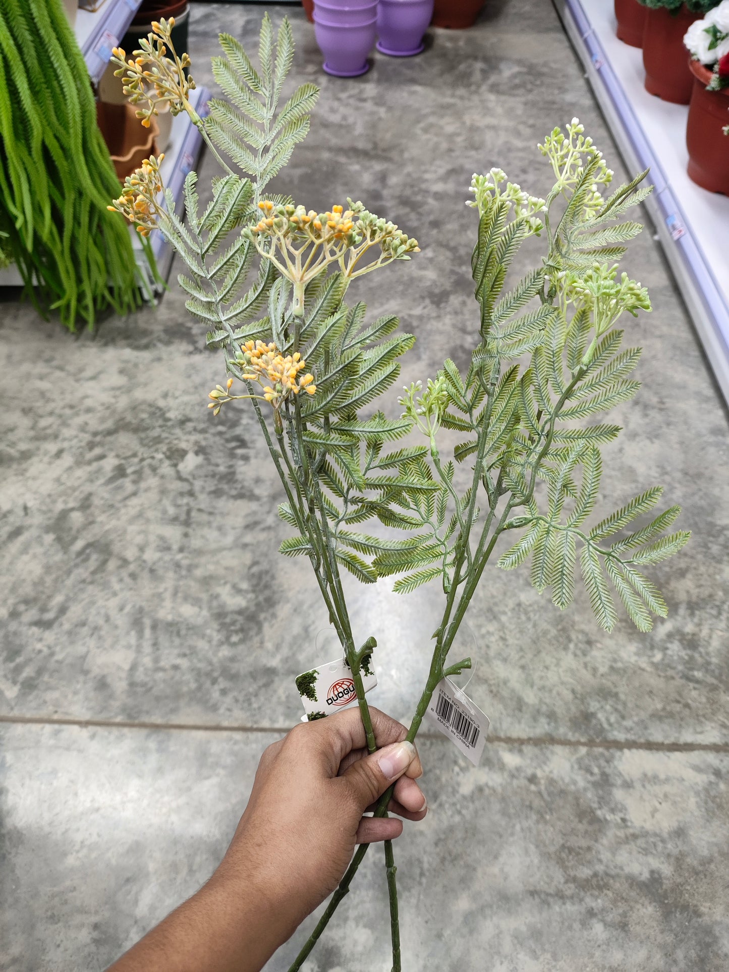 Ramas